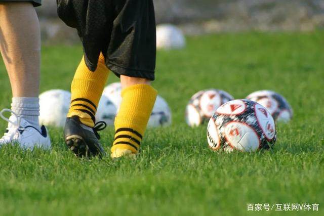 世界杯F组巡礼：荷兰最强盾PK瑞典犀利刀 日本短板明显